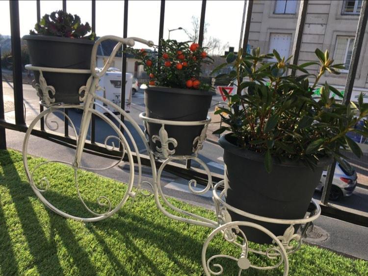 Alcyon Hotel Saumur Kültér fotó
